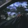 ifhybitch